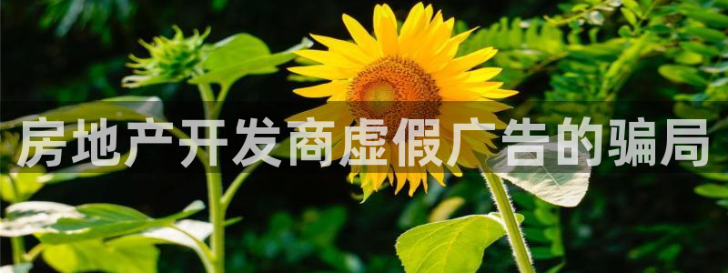 永利酒店购物