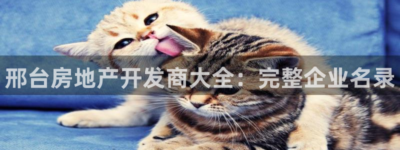 永利皮带官网价格查询
