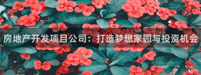 永利网能赚钱是真的么