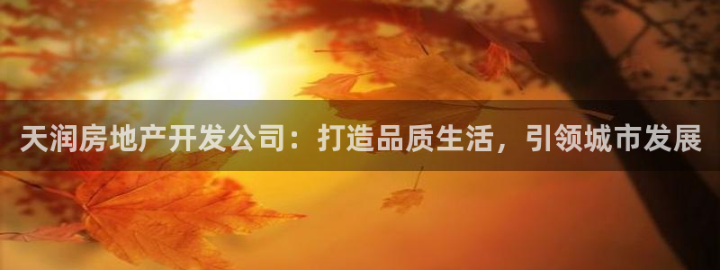 永利现场