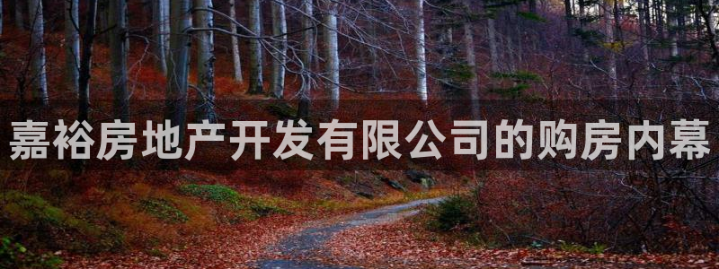 永利房地产有限公司董事长是谁