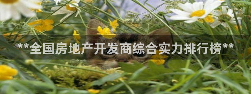 为什么永利会打不开了