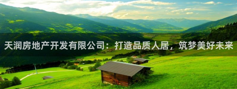 永利保险公司介绍