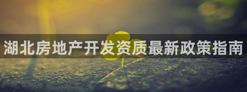 永利集团董事长