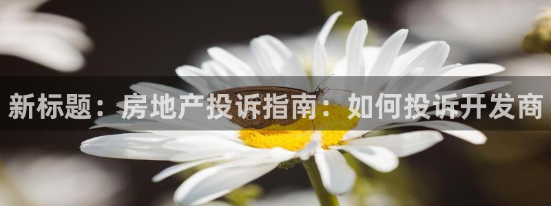 永利pc网址