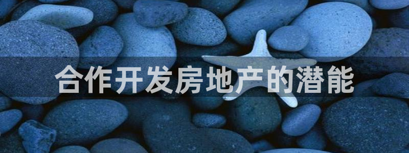 永利pc网址