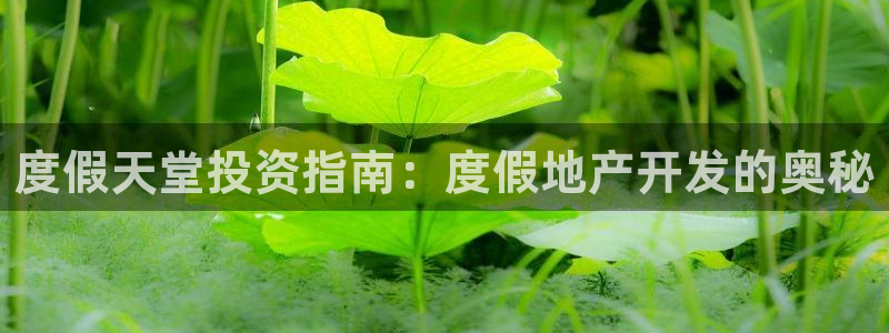 永利厂牌