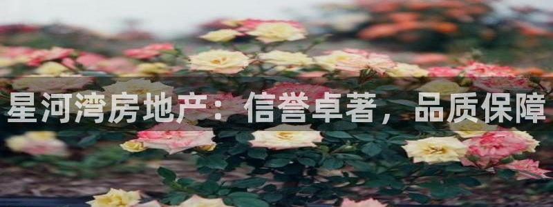 山东永利新材料