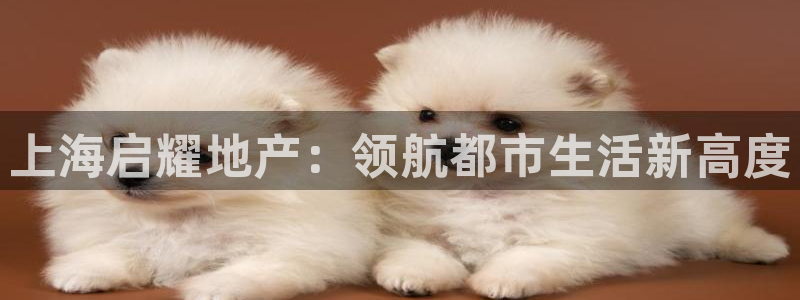 永利官网中文