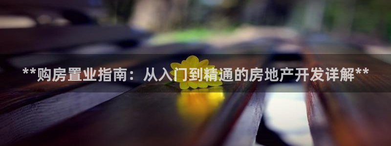 永利中国的老板是谁