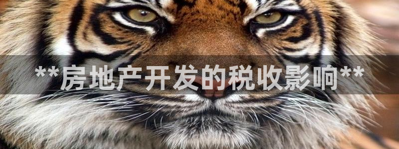 永利皮具