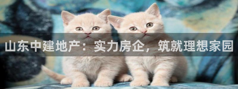 永利运动鞋