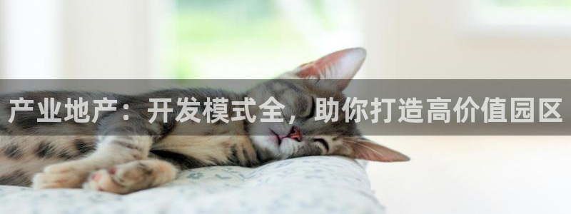 有人在永利赢过钱的吗