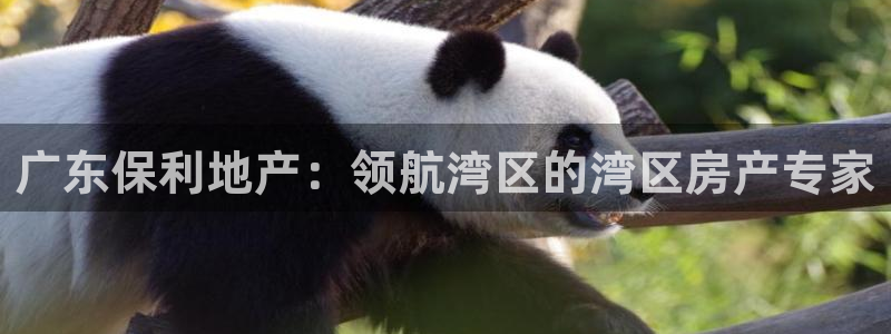 永利官网总站入口网址
