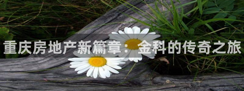 永利正版