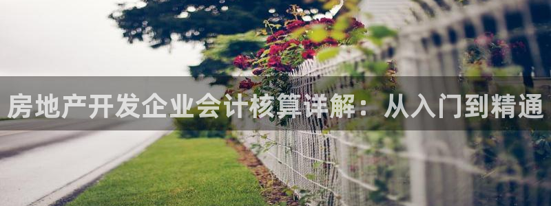 永利金控控股有限公司