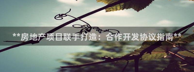 永利资管幕后老板
