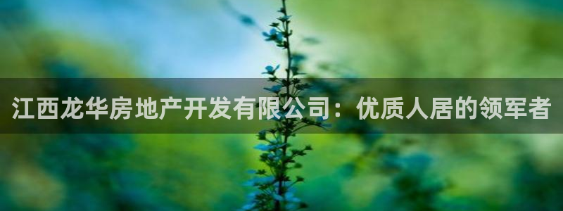 永利股份是做什么的