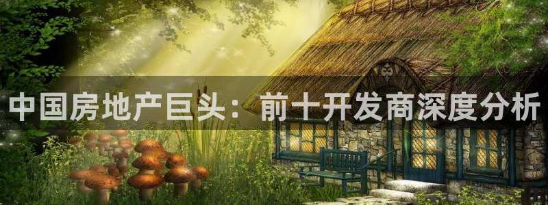 永利官网y
