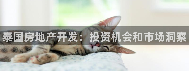 温州永利皮革有限公司