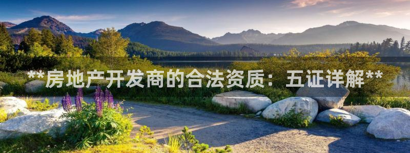 永利厂牌