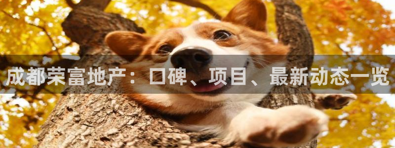 佛山永利车业