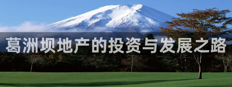 永利官网y
