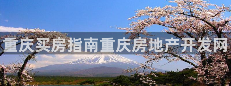 永利股份公司