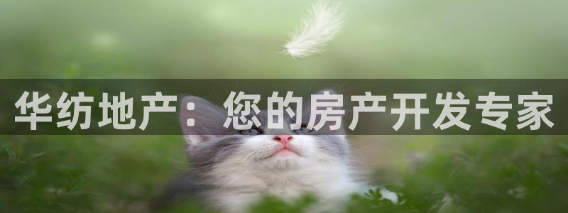 永利网9900777公司的地址