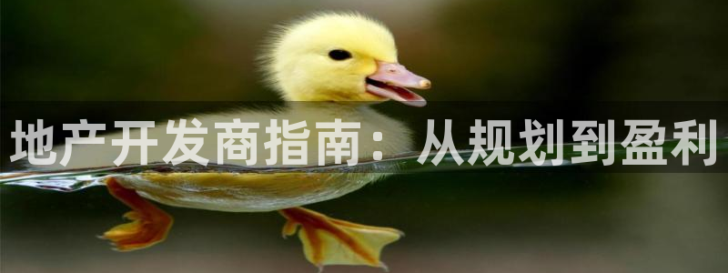 绍兴永利集团董事长