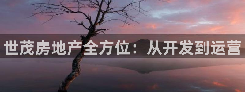 为什么永利会打不开了