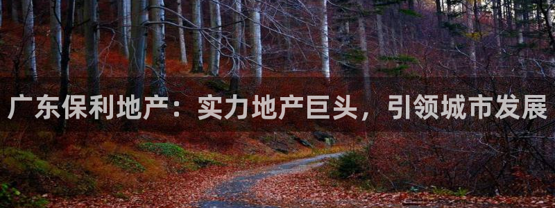 永利带业 皮带 输送带 价格