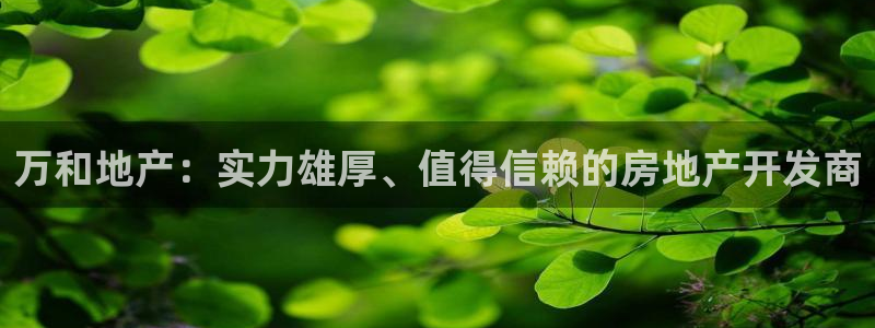 永利网输了几十万
