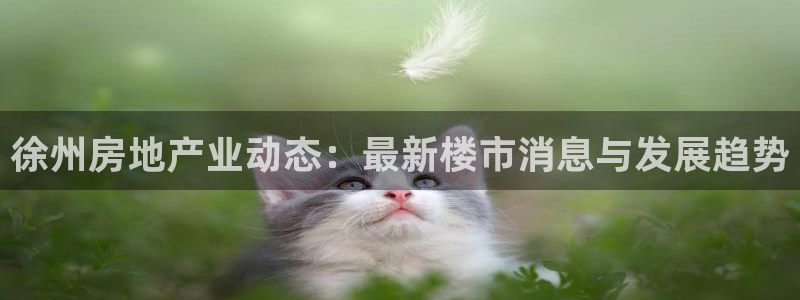 浙江永利集团