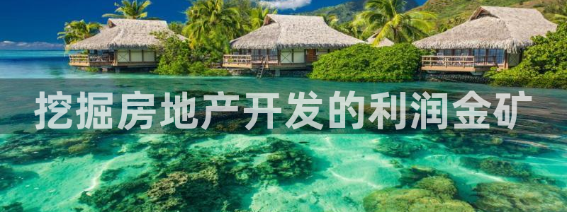 永利玩法