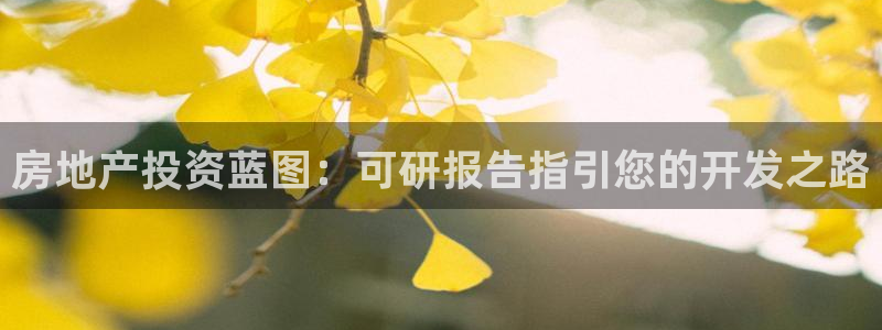 永利皮带型号说明书