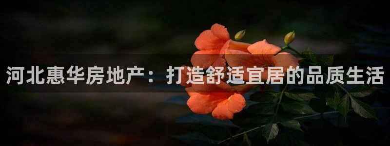 澳门永利是真的假的