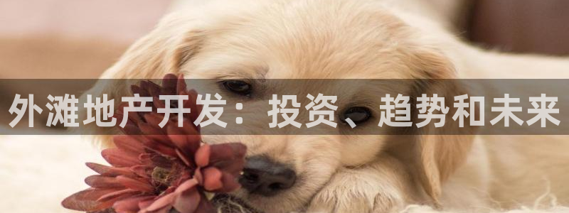 永利五金怎么样