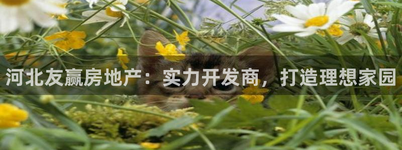 永利五金怎么样