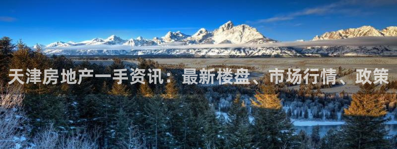永利皮带官网价格查询表