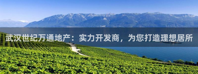 永利官网服务承诺在哪