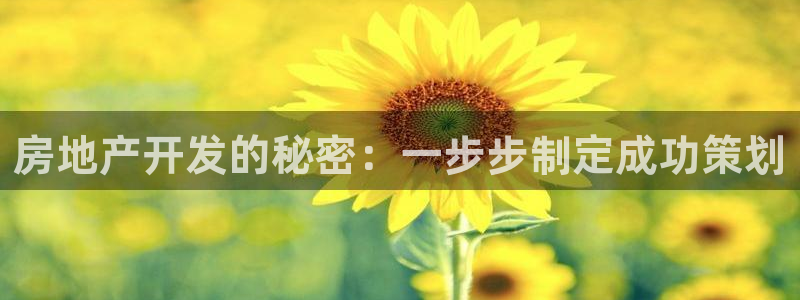 永利带业 皮带 输送带 价格