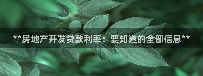 为什么永利会打不开了