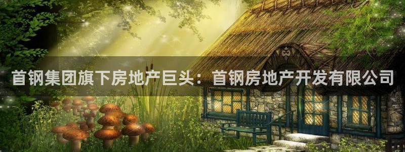 永利公司是干嘛的