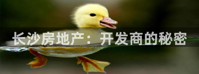永利皇府黄立青个人资料