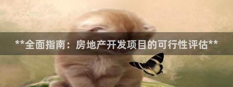 永利带业集团2020年的业绩状况