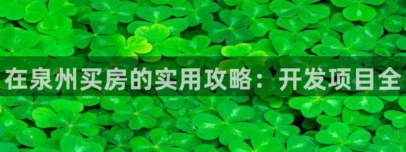 永利公司是做什么的