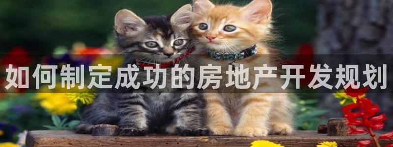 永利来织带