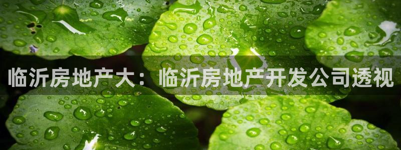 网络永利ly79,cn