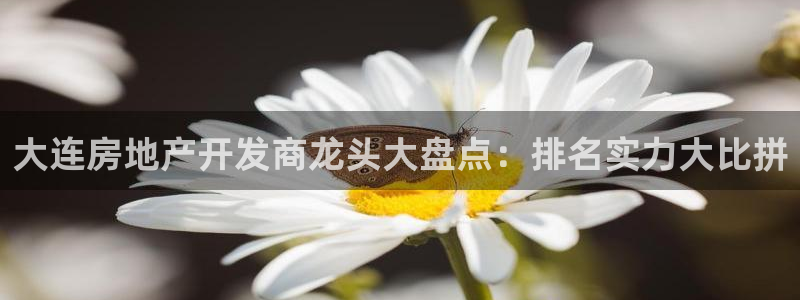 莱州永利集团